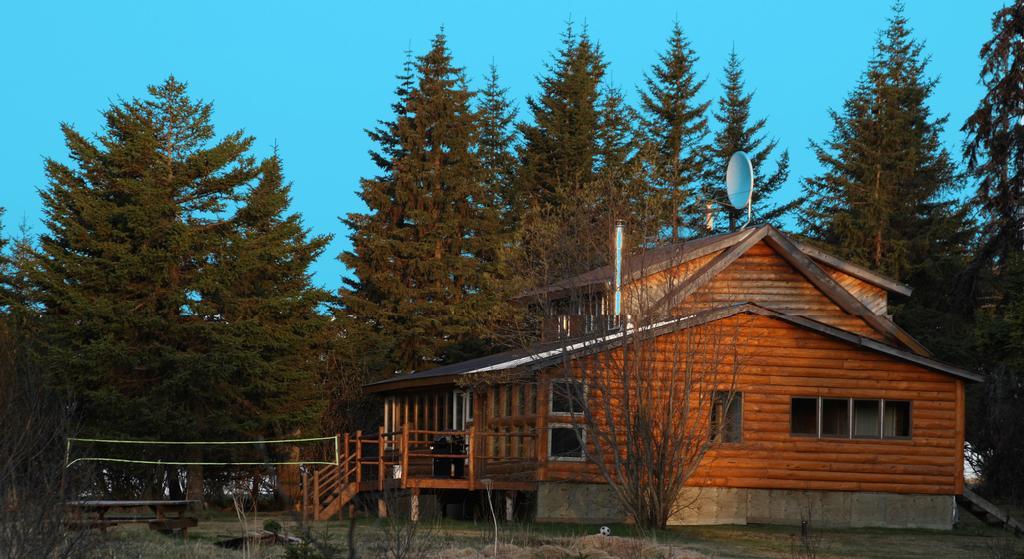 Bear Den Vacation Home Anchor Point Rom bilde